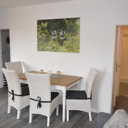 Harzfeuer Bergblick *